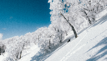 Madarao